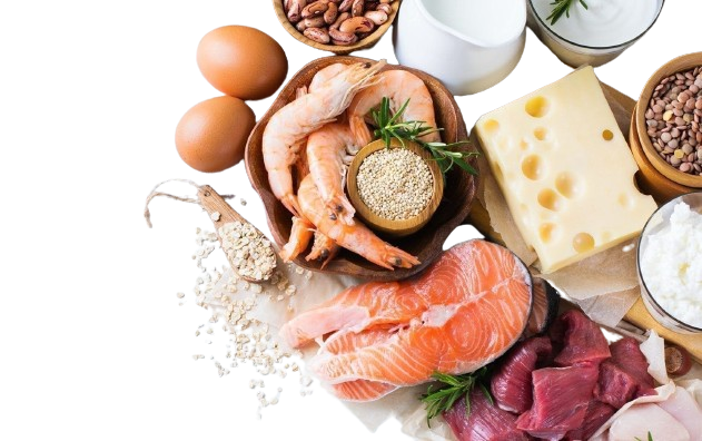 Power of Protein: What , How, Protein Made, Sources And Consume