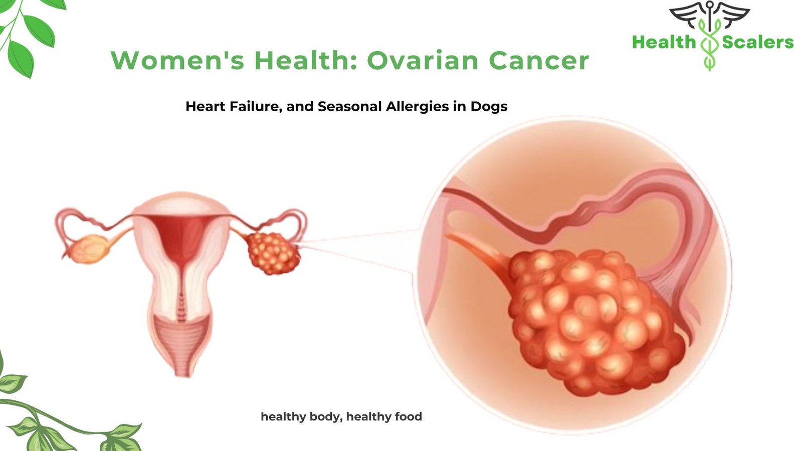 Women's Health: Ovarian Cancer, Heart Failure, and Seasonal Allergies in Dogs