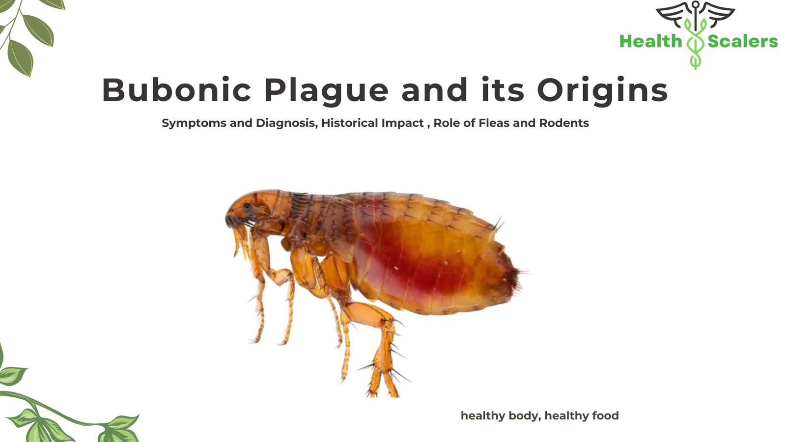 Bubonic Plague and its Origins