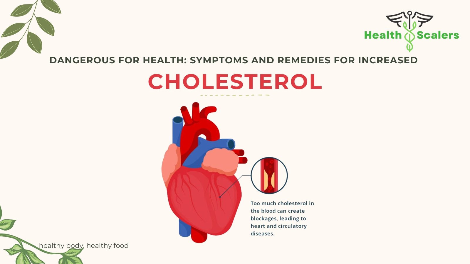 Dangerous for health: Symptoms and remedies for increased cholesterol