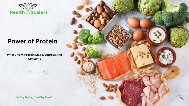 Power of Protein: What , How, Protein Made, Sources And Consume